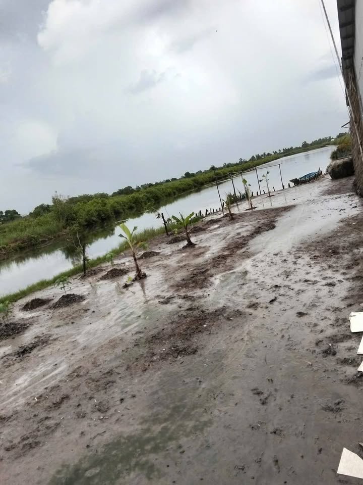 Đất nền 210.000m² ấp Kim Quy, xã Văn Khánh Tây chỉ 700 triệu - Cơ hội đầu tư sinh lời!