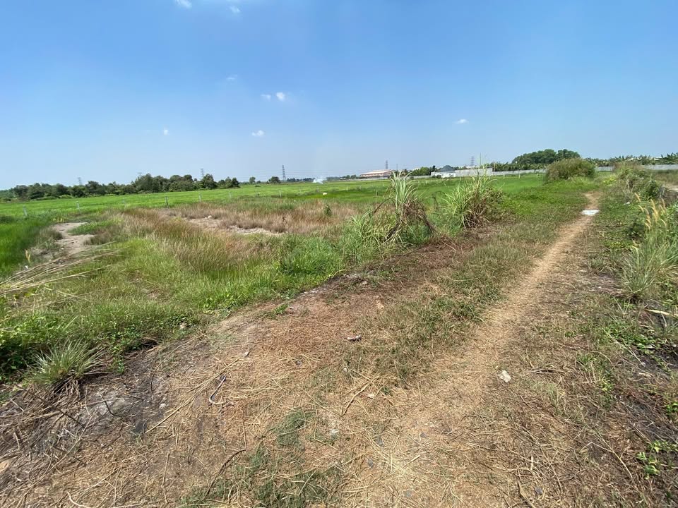 Đất vườn 500m² đường ô tô Nguyễn Kim Cương, Củ Chi chỉ 1.3 tỷ - Cơ hội đầu tư tuyệt vời!