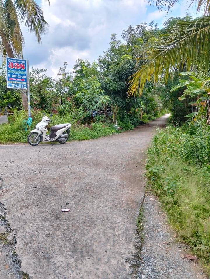 Đất thổ cư 2000m² Thạnh Phú Châu Thành, giá 5 tỷ - Pháp lý rõ ràng!