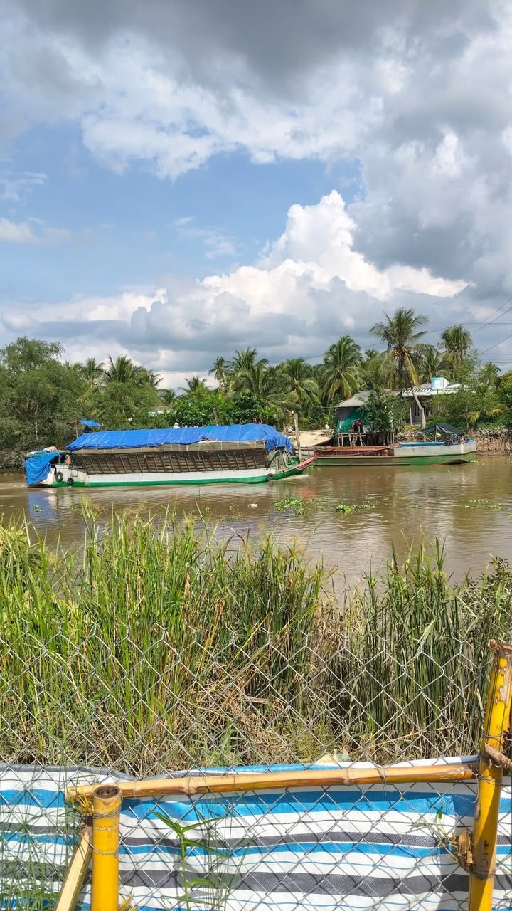 Đất vườn sầu riêng Phú An Cai Lậy 3300m² giá 2.3 tỷ - Đầu tư sinh lời ngay!