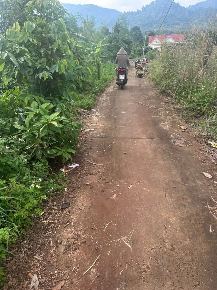 Đất thổ cư Buôn Ma Thuột 150m² giá 720 triệu - Đầu tư sinh lời ngay!