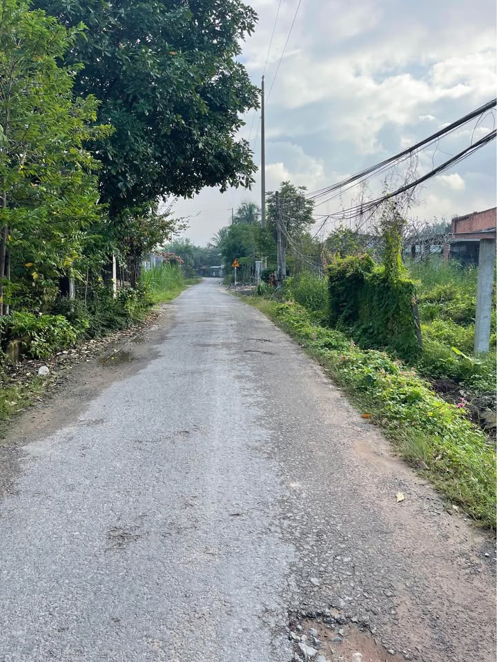 Đất thổ cư 80m² tại Gia Lộc, Trảng Bàng, Tây Ninh giá 1.4 tỷ - Đầu tư sinh lời!