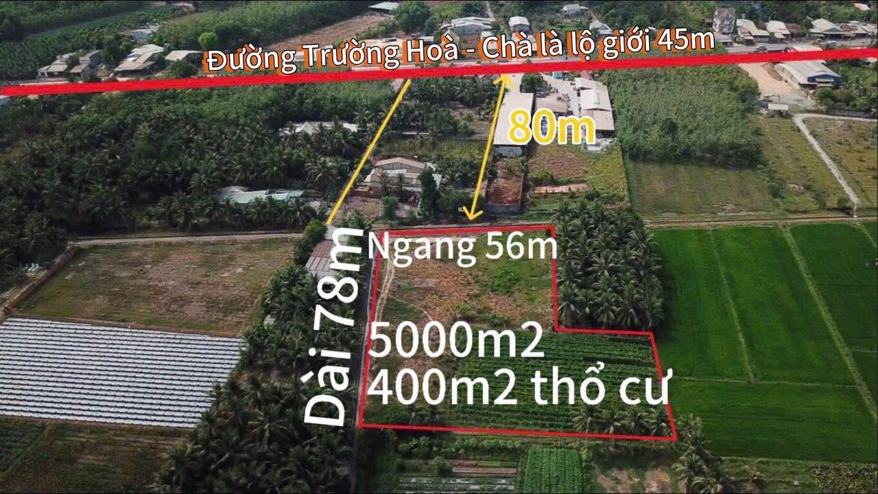 Đất nền Trường Thọ, Long Hoa 5000m² giá 6.5 tỷ - Sổ đỏ chính chủ, đầu tư sinh lời!