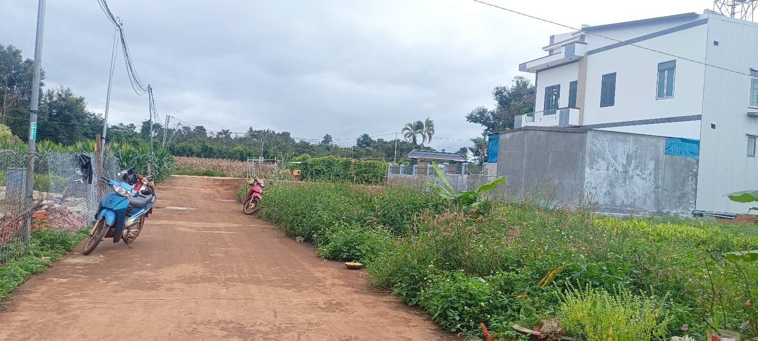 Đất thổ cư chính chủ xã Đức Minh, Đắk Mil 300m² giá 1.73 tỷ - Đầu tư tiềm năng!