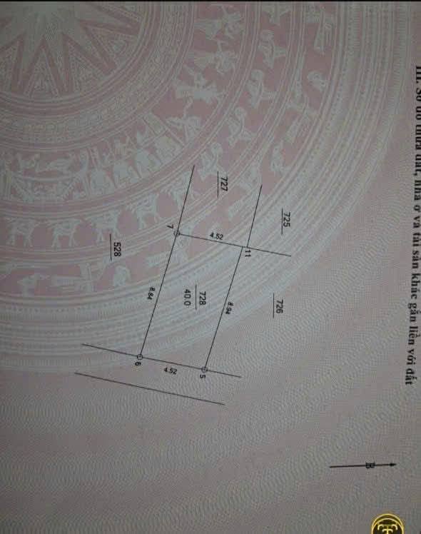 Đất nền Đàn Viên, Cao Viên 40m² giá 2.9 tỷ - Cơ hội đầu tư tuyệt vời!
