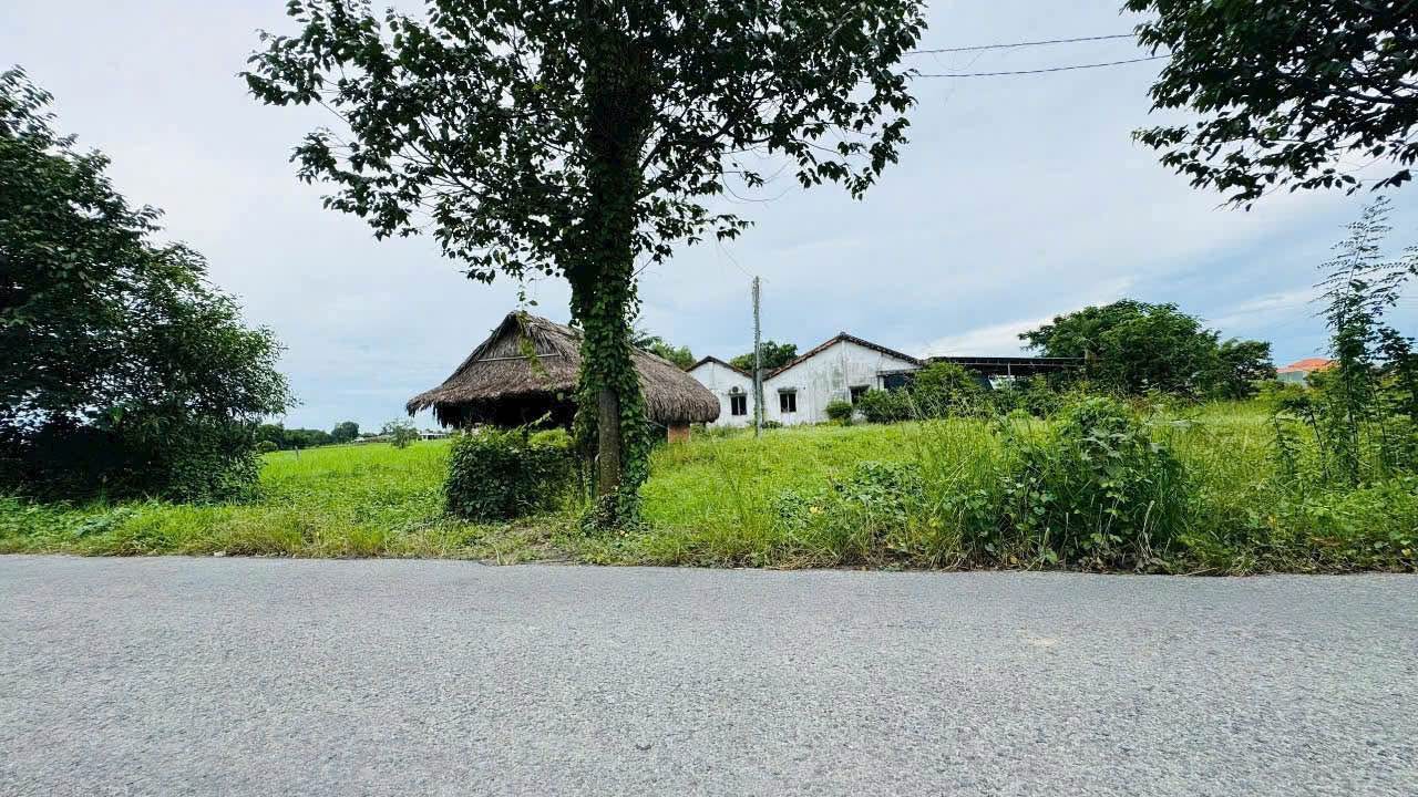 Đất nền 150m² xã Đức Lập Thượng, giá 1.45 tỷ - Sổ đỏ chính chủ, vị trí đẹp!