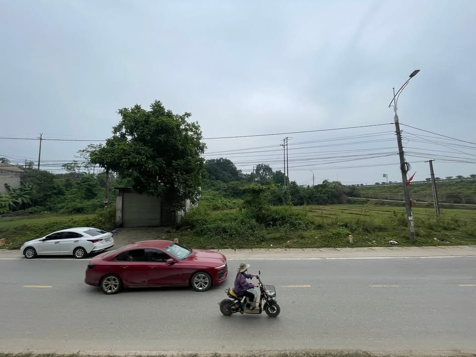 Đất mặt đường Tỉnh lộ 315B, Lâm Thao, 100m² chỉ 1.5 tỷ - Tiềm năng đầu tư lớn!