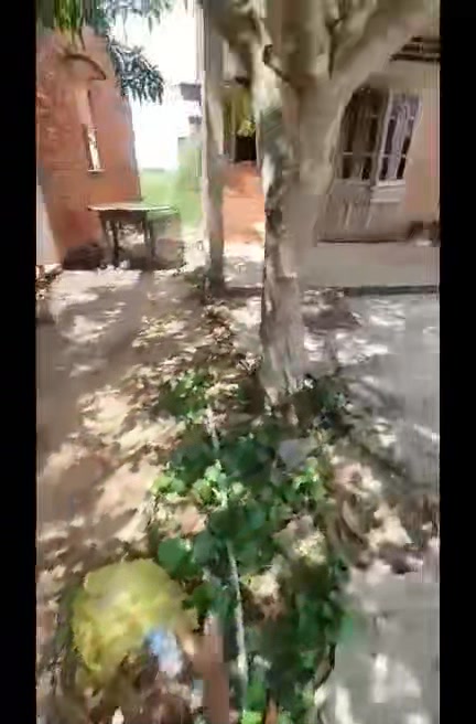 Đất nền liền kề KDC xã Mỹ An, Thủ Thừa, Long An - Diện tích 100m², giá 550 triệu - Đầu tư sinh lời ngay!