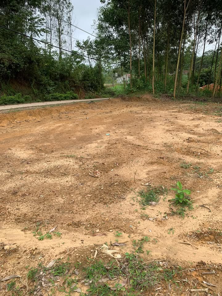 Đất nền Tân Thành Phú Bình 1000m² giá chỉ 2 tỷ - Cơ hội đầu tư hấp dẫn!