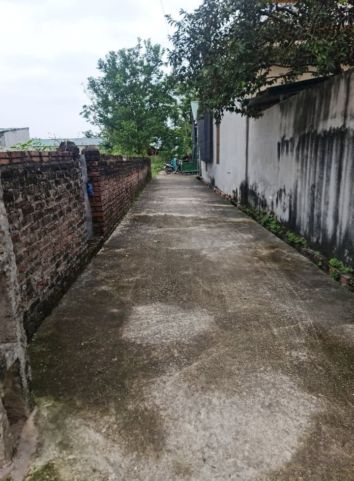 Đất nền Kim Sơn, Gia Lâm 76m² giá 2.5 tỷ - Đầu tư lý tưởng cho gia đình!