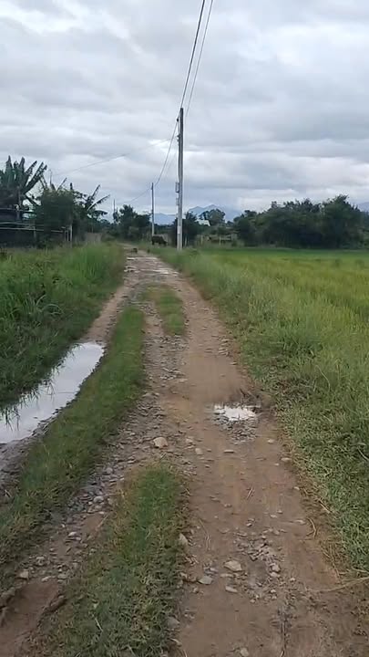 Đất Ninh Ích Ninh An 139m² giá 3xx triệu - Vị trí đắc địa gần chợ!