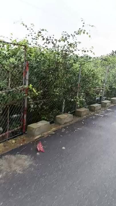 Đất vườn Sài Sơn, Quốc Oai, 795m² chỉ 4,6 triệu/m² - Cơ hội đầu tư tuyệt vời!