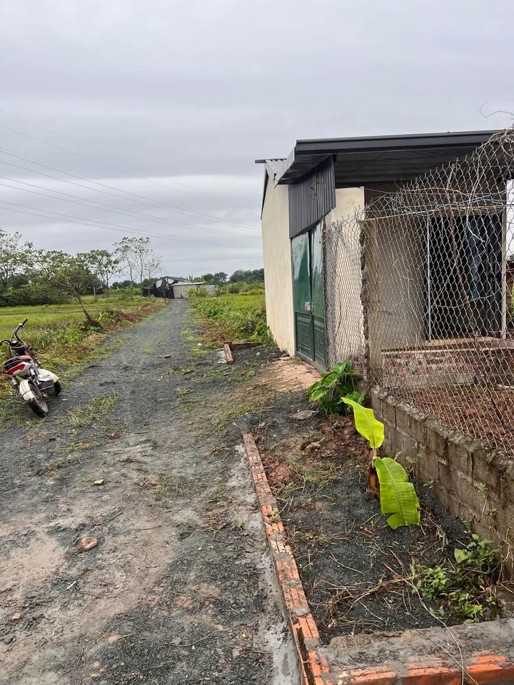 Đất 359m² Sài Sơn Quốc Oai giá chỉ 1.3 tỷ - Đường ô tô vào tận nơi!