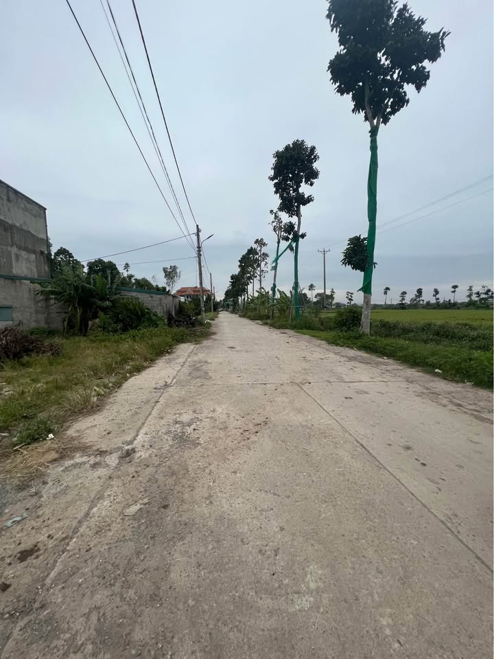 Đất phân lô Liêm Cần, Thanh Liêm 138m² giá 1 tỷ - Đầu tư sinh lời tiềm năng!