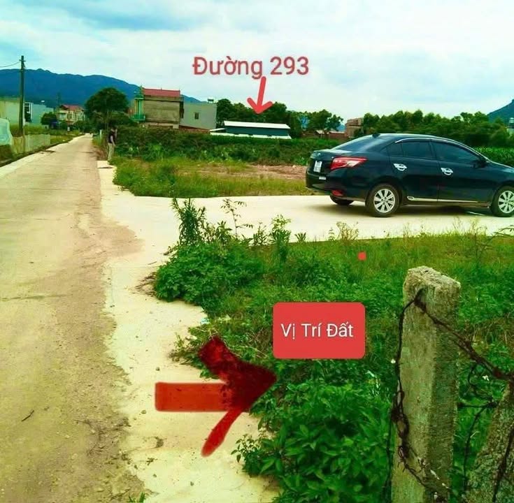 Đất nền Nghĩa Phương Lục Nam 127m² giá chỉ 550 triệu - Cơ hội đầu tư hấp dẫn!