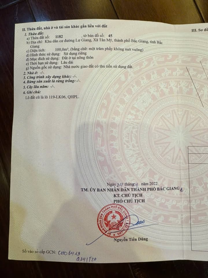 Đất nền khu dân cư đường Lư Giang, xã Tân Mỹ 100m² - Vị trí đẹp, giá thỏa thuận!