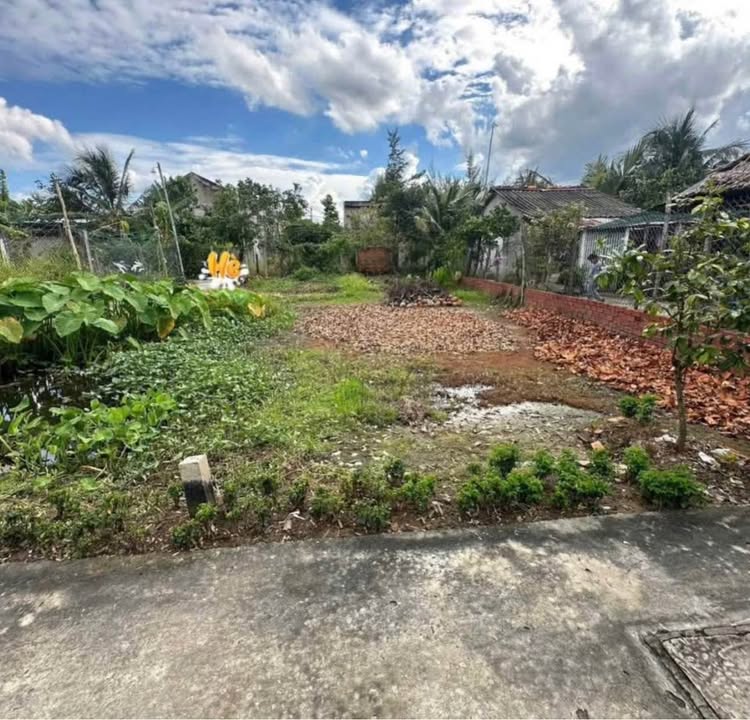 Đất thổ cư Hữu Định Bến Tre 196m² giá 800 triệu - Gần hẻm xe hơi, sổ hồng chính chủ!