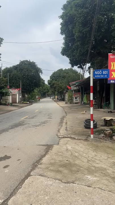 Đất nền Kim Sơn - Sơn Tây 119m² giá 2.398 tỷ - Vị trí đắc địa