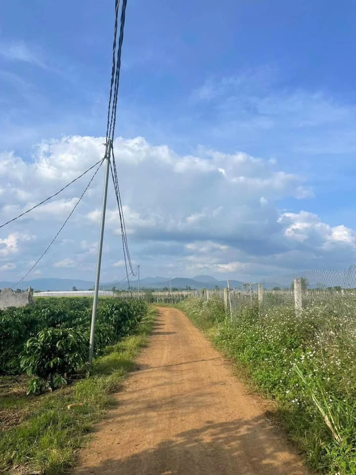 Đất nền chính chủ Tân Hội 200m² giá chỉ 5.2 tỷ - Cơ hội đầu tư hấp dẫn!