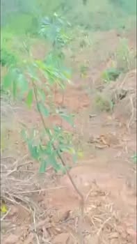 Đất nền xã Ngọk Réo, Đăk Hà 1300m² giá chỉ 335 triệu - Cơ hội đầu tư sinh lời!