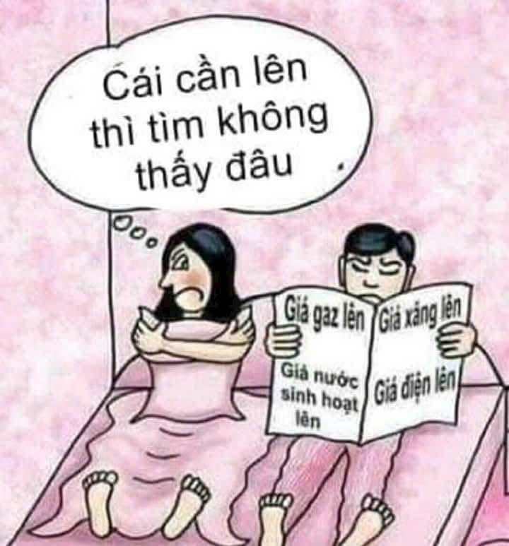 Đất nền Vũ Phúc Thái Bình 40m² giá chỉ 650 triệu - Đầu tư sinh lời ngay!