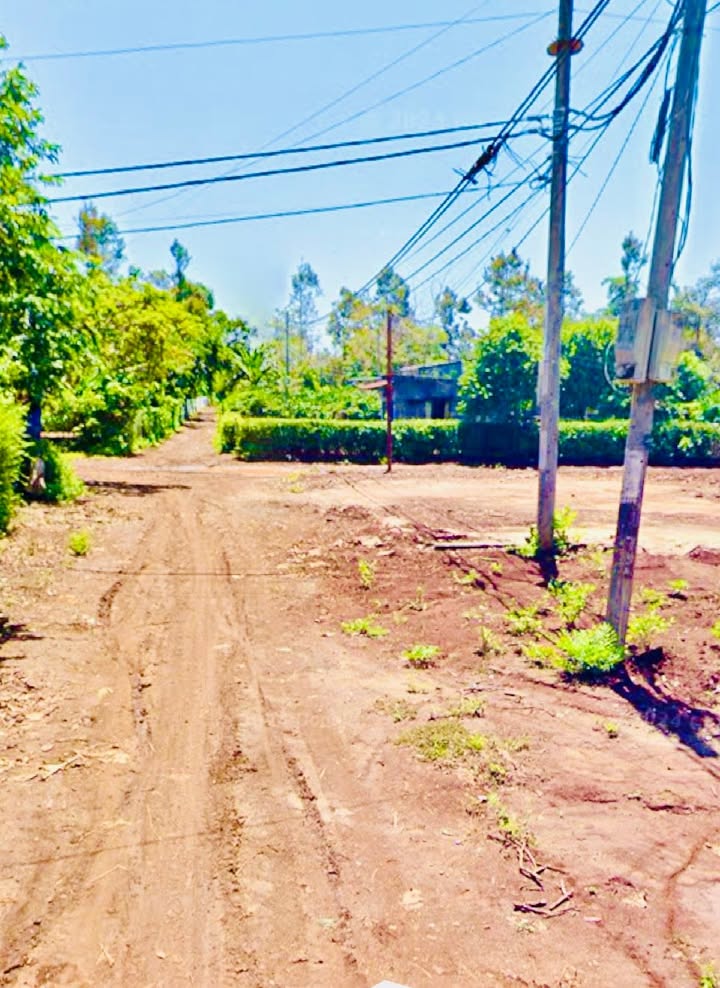 Đất nền Hòa Đông, KBang 50m² giá chỉ 5xx triệu - Sẵn sàng đầu tư ngay!