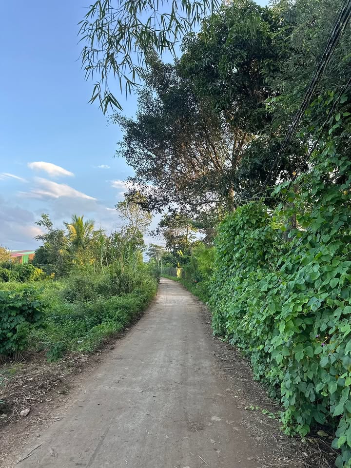 Đất nền Hòa An, Krông Pắc 250m² giá 930 triệu - Cơ hội đầu tư tuyệt vời!