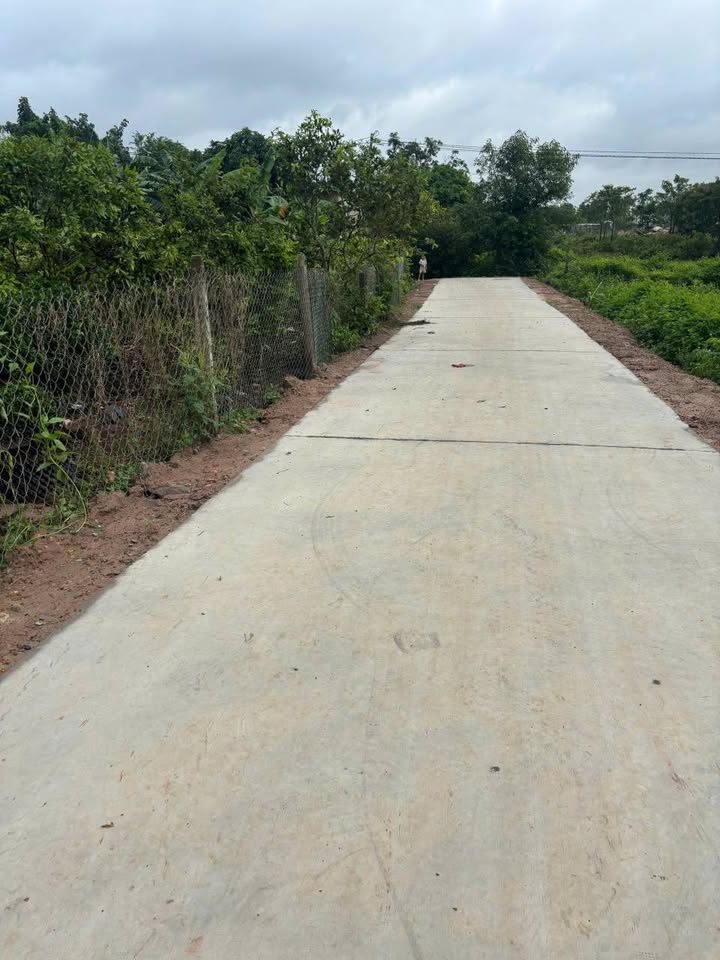 Bán đất Phú Hòa Định Quán 644m² - Đường bê tông ô tô vào tận nơi!