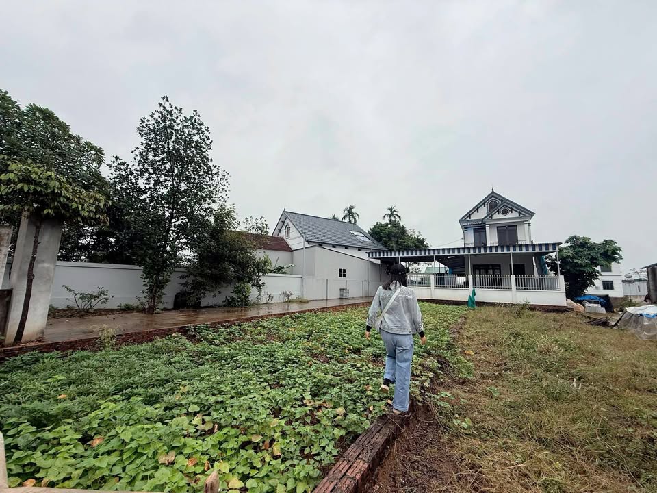 Đất nền tại thôn 2, Phú Cát, Quốc Oai, 128m² - Mặt tiền rộng rãi, giá tốt!