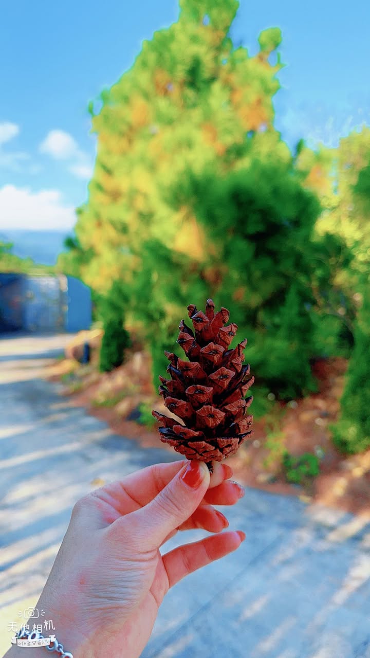 Đất thổ cư 744m² tại Bình Khê, Đông Triều - Giá chỉ 3 tỷ, không thể bỏ lỡ!