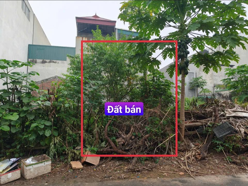 Đất nền Khai Quang, Vĩnh Yên 86m² giá 2.3 tỷ - Đường ô tô tránh nhau!