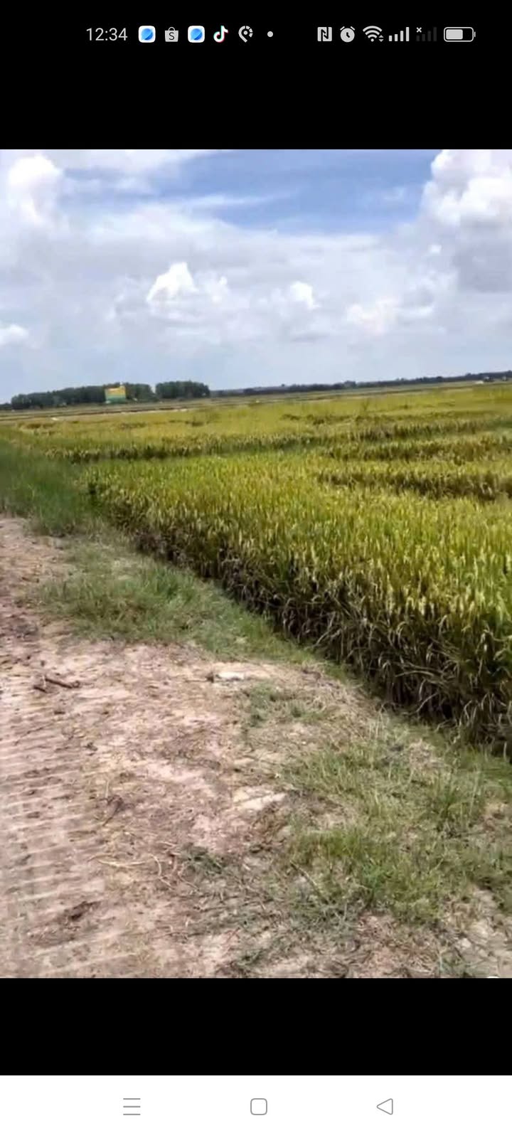 Đất nền xã Phước Vinh, Châu Thành 34,000m² giá thỏa thuận - Cơ hội đầu tư hấp dẫn!