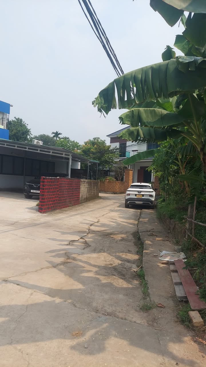 Lô đất Yên Vinh, Thanh Lâm, Mê Linh 99,2m² - Chính chủ bán gấp!