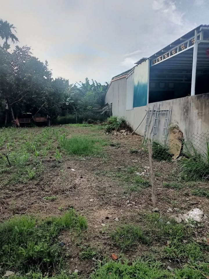 Đất nền Krông Bông 200m² giá 160 triệu - Vị trí đắc địa, sổ đỏ chính chủ!