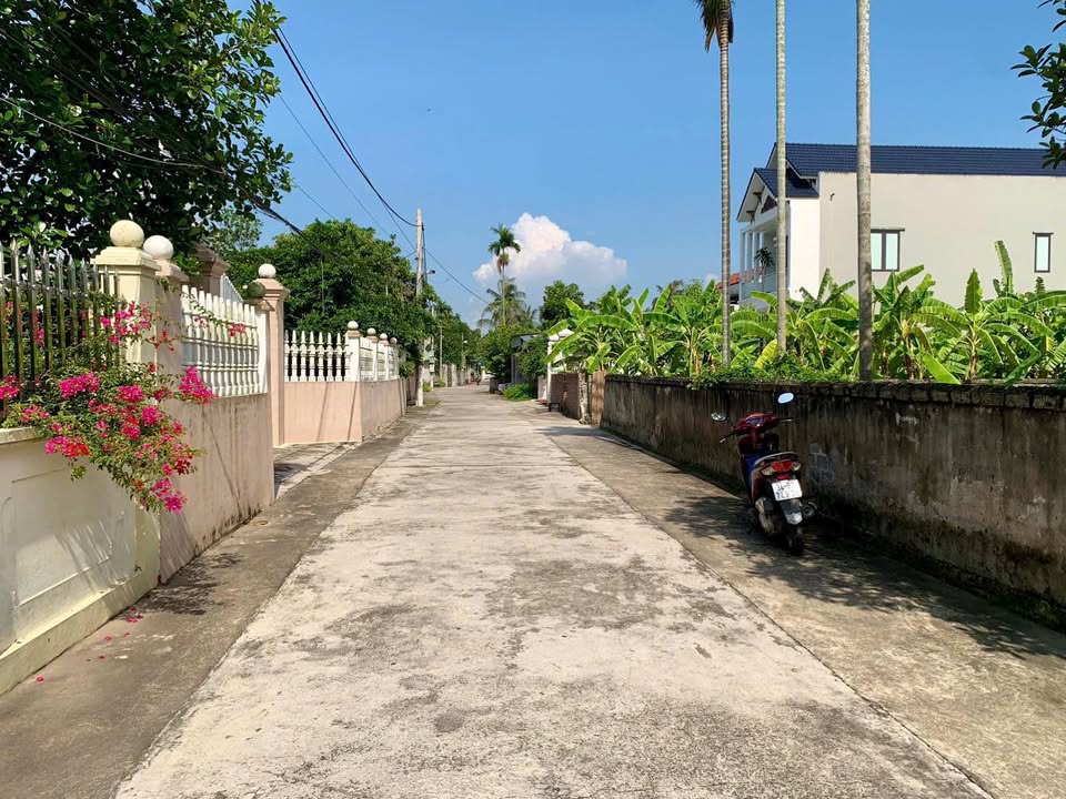 Đất nền Cẩm Chế Thanh Hà 100m² chỉ 1.9 tỷ - Sổ đỏ chính chủ, đường lớn thuận tiện!