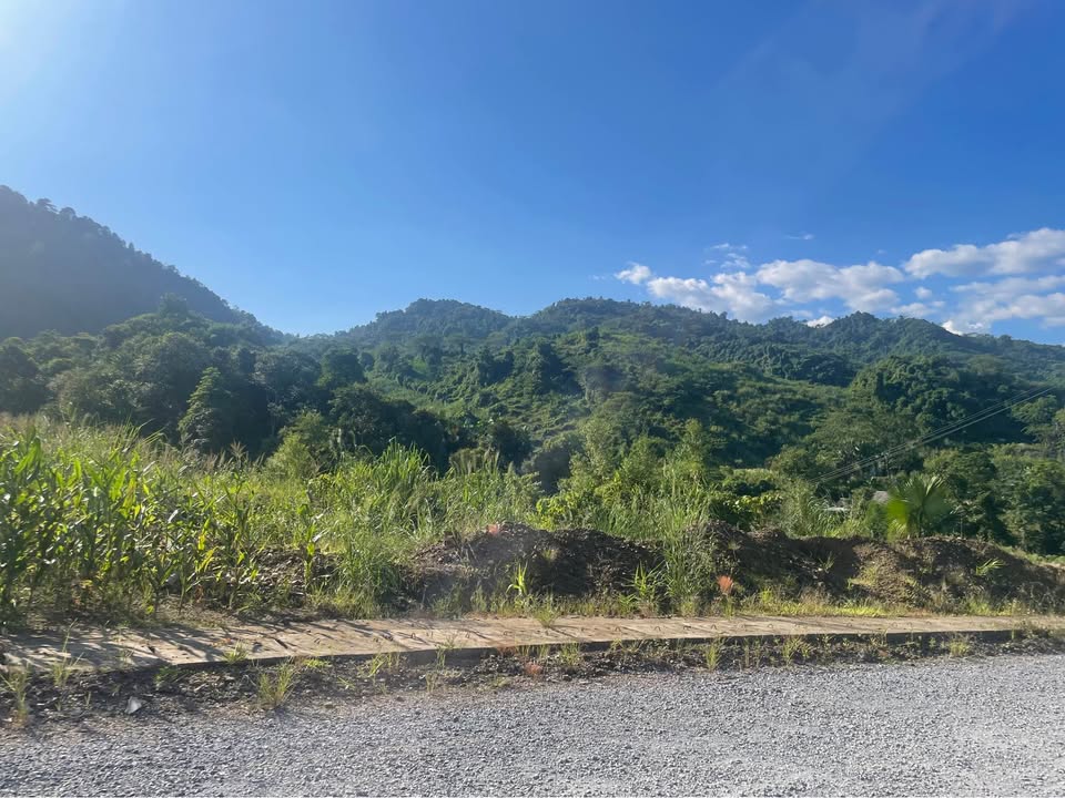 Đất nền Vị Xuyên 1.5ha giá chỉ 3 tỷ - Tiềm năng đầu tư lớn!