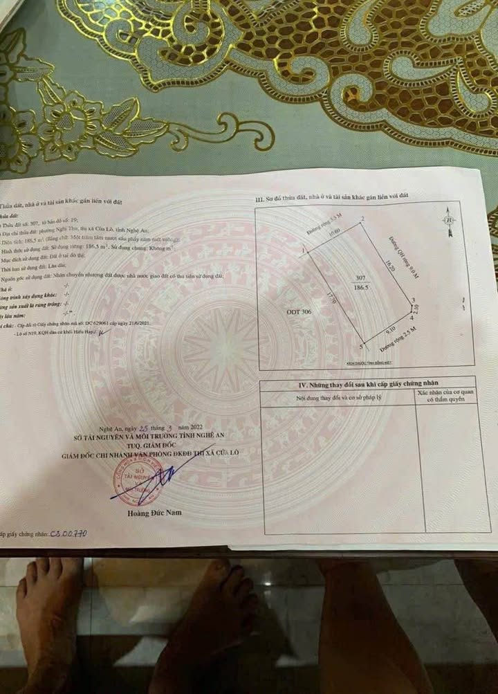 Đất Nghi Thu Cửa Lò 186m² giá 3 tỷ - Đầu tư sinh lời ngay gần biển!