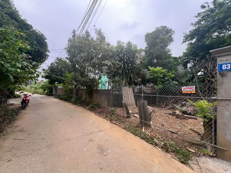 Đất Thổ Cư Tại Thôn Trung Việt 1, An Tường 100m² giá 2.4 tỷ - Vị trí thuận lợi cho đầu tư