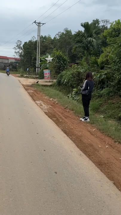 Đất nền Đồng Vương Yên Thế 166m² giá chỉ 700 triệu - Sổ đỏ chính chủ!