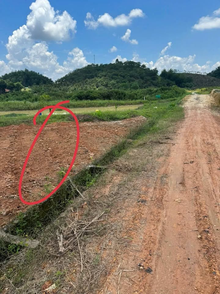 Đất nền Quốc Oai Đạ Tẻh 2000m² giá chỉ 430 triệu - Sổ đỏ chính chủ!