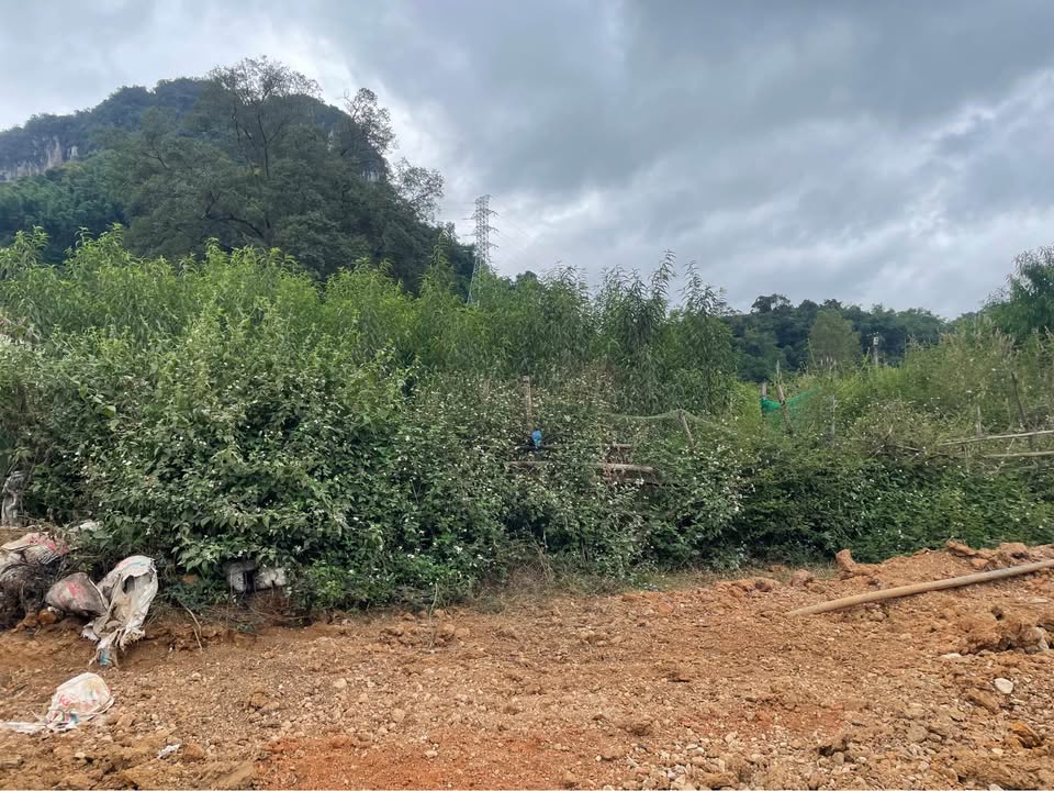 Đất nền Chiềng Ngần 180m² - Mặt đường đôi 40m, kinh doanh thuận lợi!