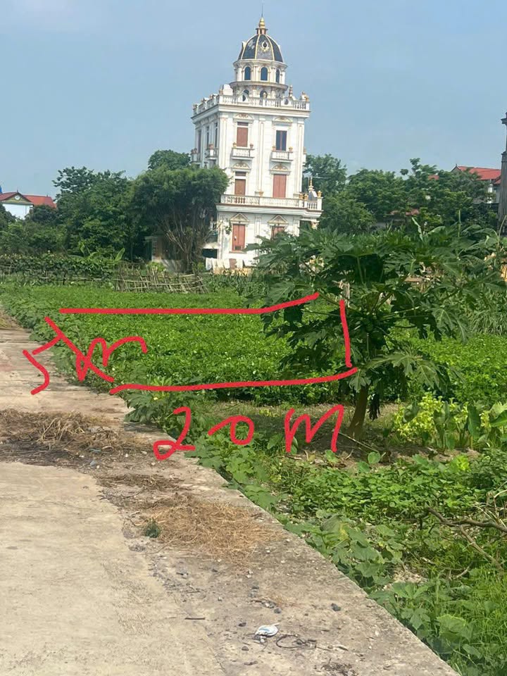 Đất nền thôn Nội, Văn Hoàng, Phú Xuyên 100m² giá 2.95 tỷ - Đầu tư sinh lời cao!