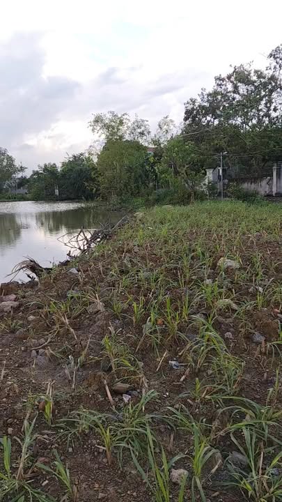 Đất thổ cư mặt tiền đường xã Thanh Sơn, Ninh Bình 200m² - Phong thủy tốt, giá thỏa thuận!