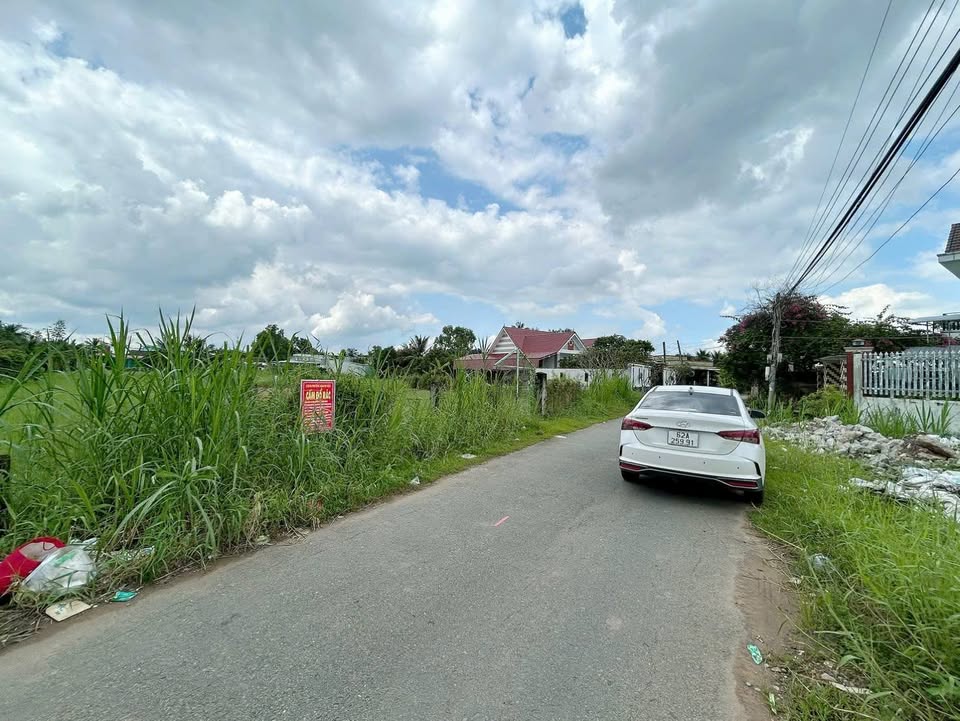 Đất thổ cư + đất vườn 1330m² mặt tiền Nguyễn Văn Chánh - Cơ hội đầu tư lý tưởng!