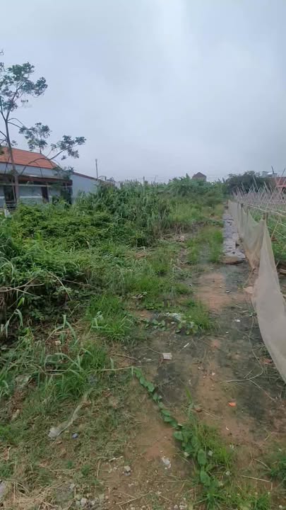 Đất nền 471m² Nam Điền, Nghĩa Hưng giá 2 tỷ - View sông tuyệt đẹp!