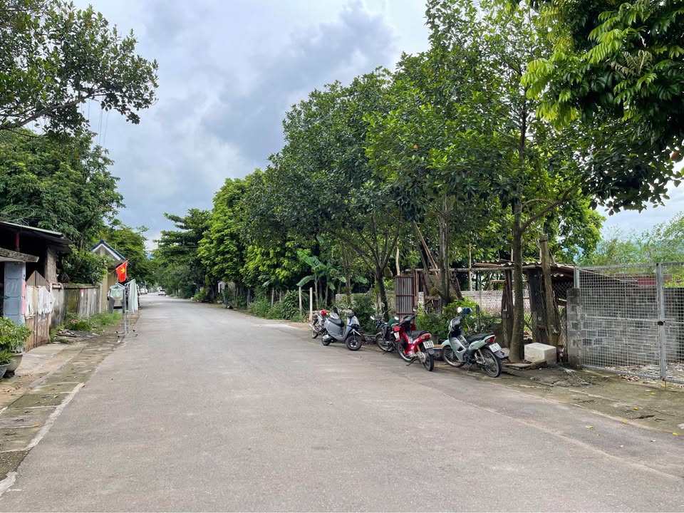 Đất thổ cư phường Hoà Bình 65m² giá 1 tỷ - Đầu tư sinh lời hấp dẫn!