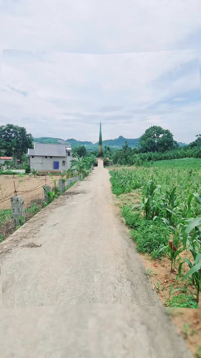 Đất nền thổ cư xã Cẩm Vân, Thanh Hoá - Chỉ từ 200 triệu, diện tích 99m²