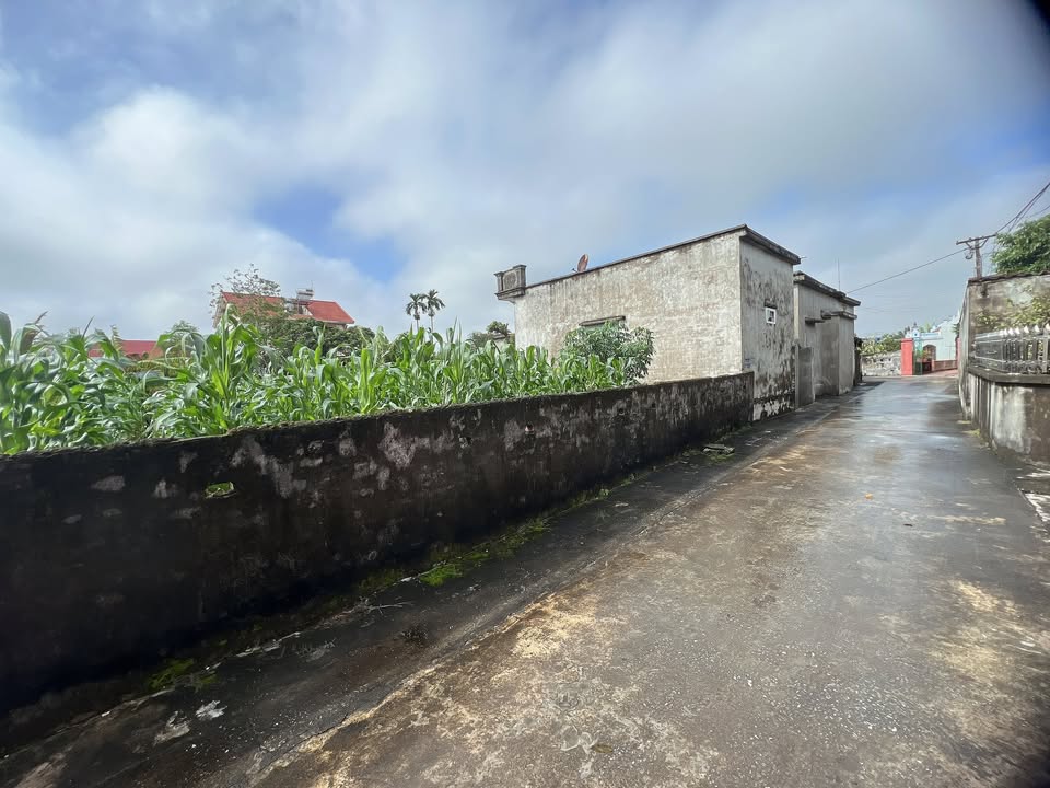 Đất Tây Phong, Tiền Hải 85.4m² giá 700 triệu - Mặt tiền 5.8m, đường ô tô