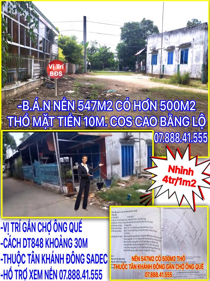 Đất nền biệt thự Tân Khánh Đông 547m² giá 2.188 tỷ - Cơ hội đầu tư hấp dẫn!