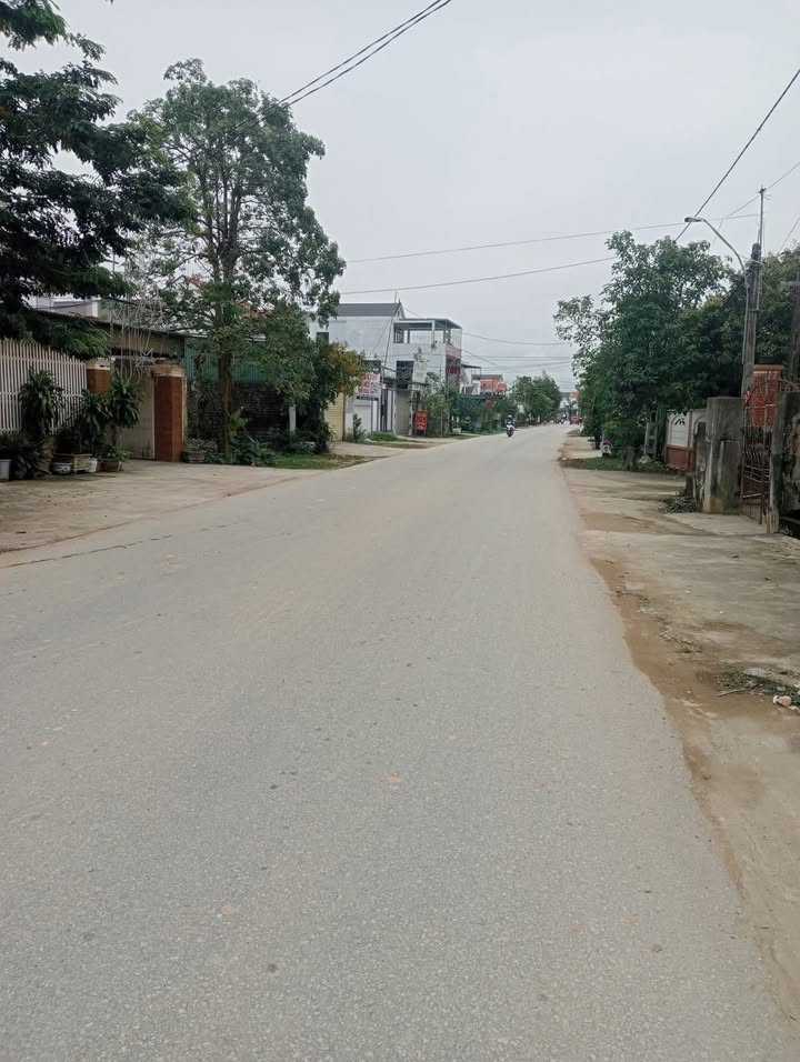 Đất nền Đông Thành, Yên Thành 365m² - Cơ hội đầu tư siêu lợi nhuận!